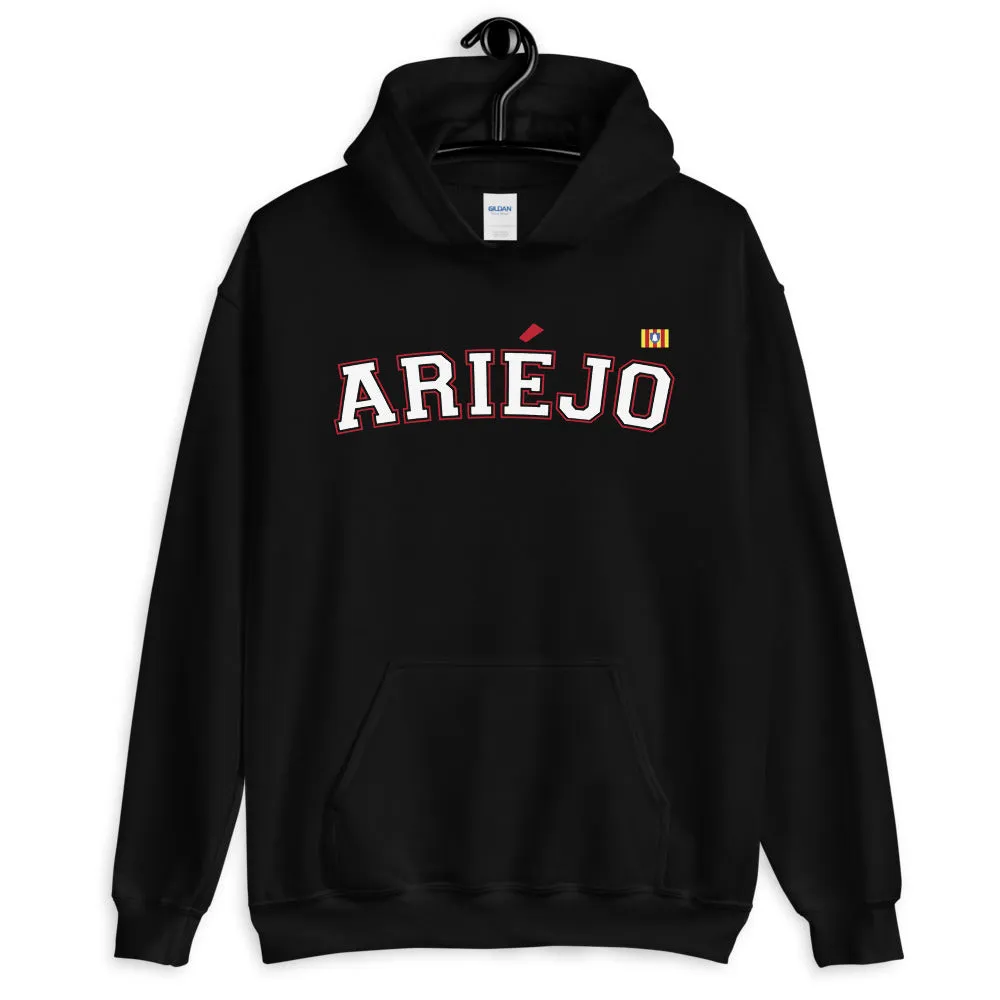 Ariéjo - Ariège - sweatshirt à capuche blason ariégeois