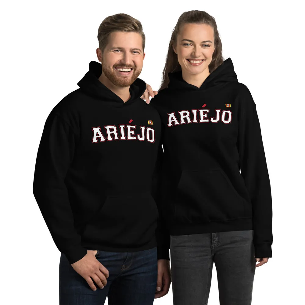 Ariéjo - Ariège - sweatshirt à capuche blason ariégeois