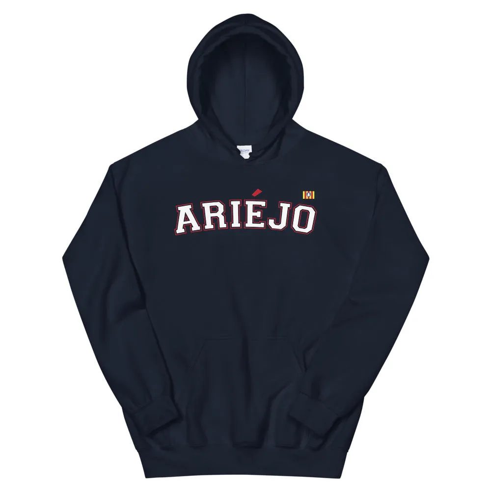 Ariéjo - Ariège - sweatshirt à capuche blason ariégeois