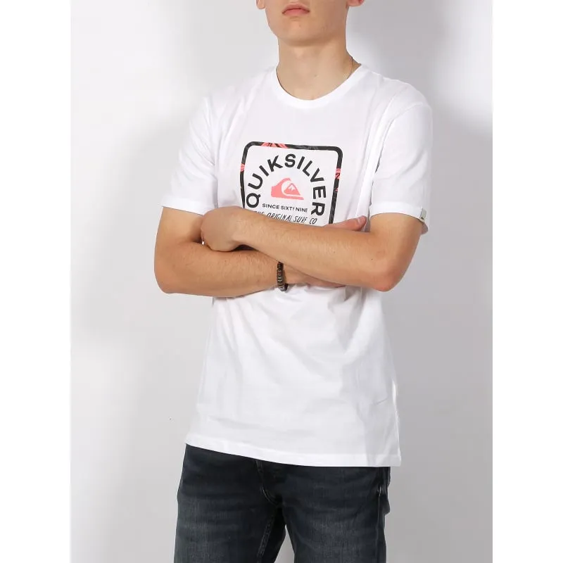 T-shirt custom van gris chiné homme - Picture | wimod