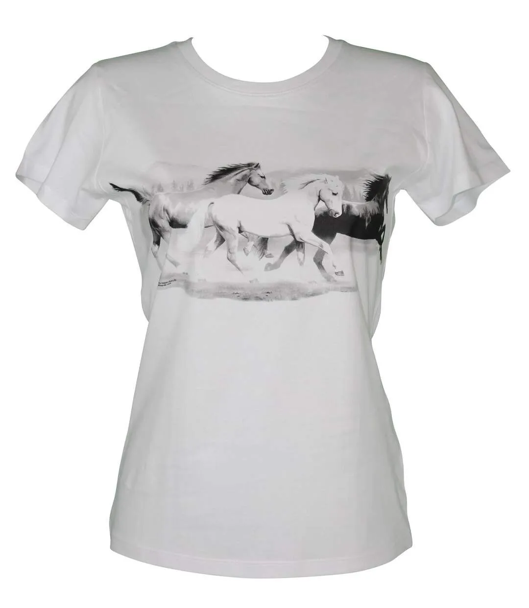 T-shirt FEMME manches courtes - Chevaux solar - 6173 - Blanc